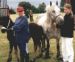 Grey mare and foal